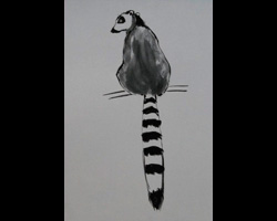Ring-tailed lemur