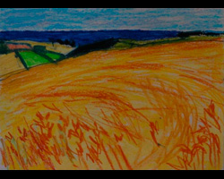 Cornfield, Dittisham